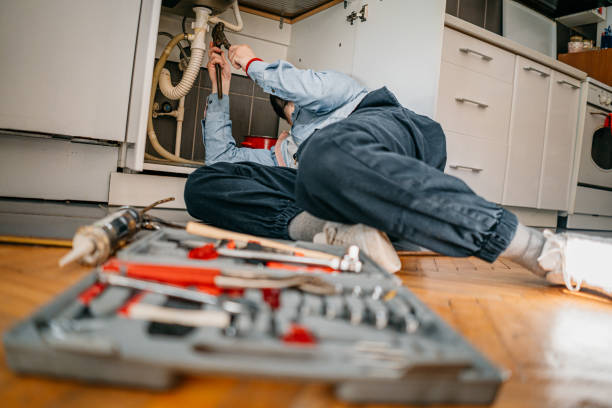 Best Clogged Drain Plumber  in Palestine, IL