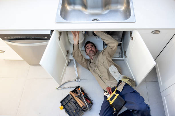 Best Gas Line Repair  in Palestine, IL