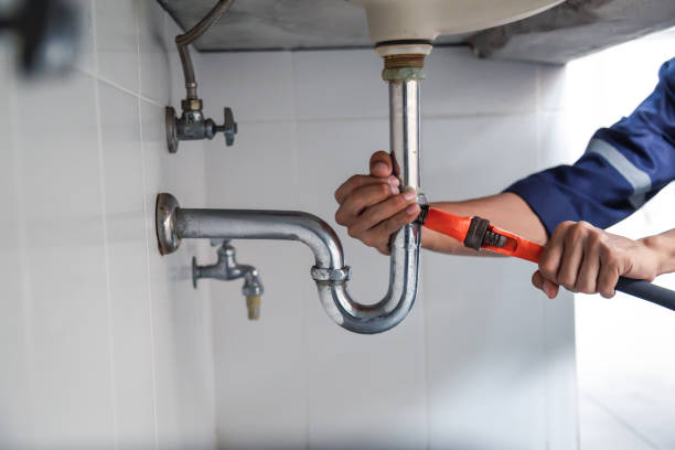Best Emergency Plumber  in Palestine, IL