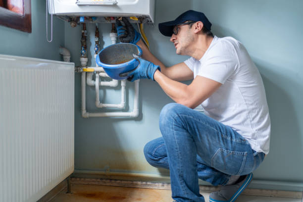 Best Affordable Plumbing Services  in Palestine, IL