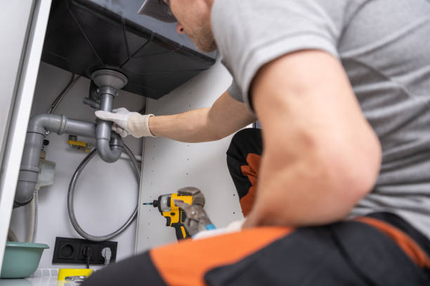 Best Shower Repair Services  in Palestine, IL