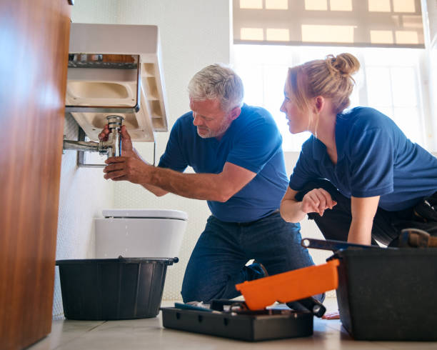 Best Plumbing Installation Services  in Palestine, IL